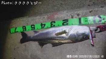 �����Х�����������