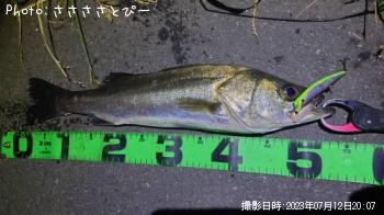 �����Х�����������