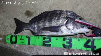 �����Х�����������