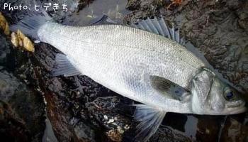 �ҥ饹����