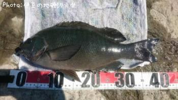 �����᥸��