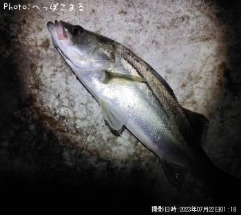 �����Х�