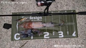 ���󥵥�����