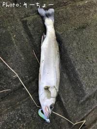 �����Х�