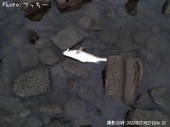 �����Х�