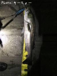 �����Х�