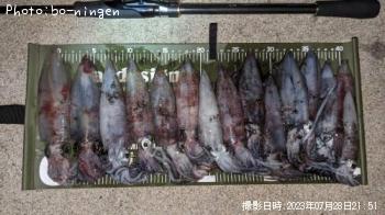 ¥±¥ó¥µ¥¥¤¥«