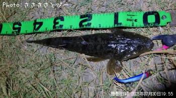 �ޥ��������ʤ����勵�ꥬ��