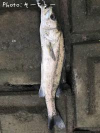 �����Х�