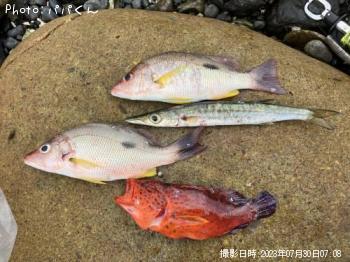 �����ۥ��ե�����