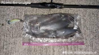 ¥±¥ó¥µ¥¥¤¥«