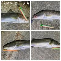 �����Х�