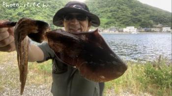 �����ꥤ��