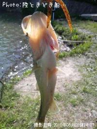 ¥Ö¥é¥Ã¥¯¥Ð¥¹