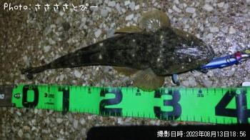 �ޥ������勵�ꥬ��