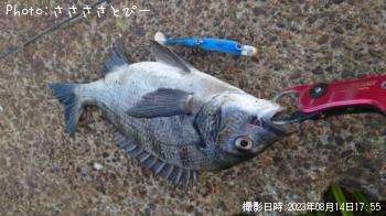 �����������勵�ꥬ��