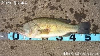 �֥�å��Х�