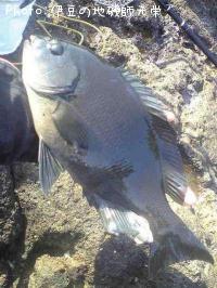 �����᥸��