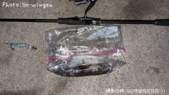 ���󥵥�����