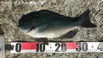 �����᥸��