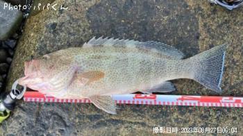 ¥ª¥ª¥â¥ó¥Ï¥¿