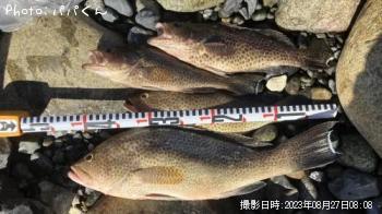 �������ϥ�