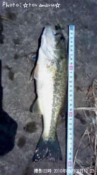 ¥Ö¥é¥Ã¥¯¥Ð¥¹