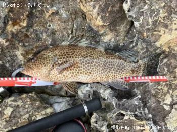 ¥ª¥ª¥â¥ó¥Ï¥¿