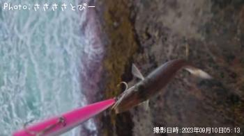 �參�������ޥ�