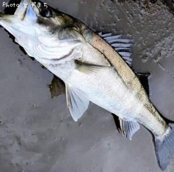 �����Х�