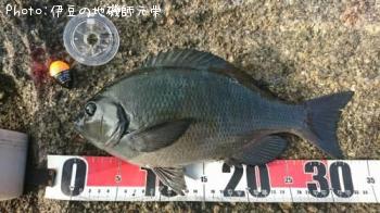 �����᥸��