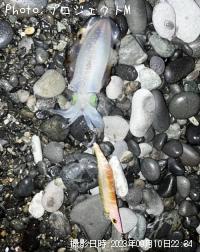 �����ꥤ��