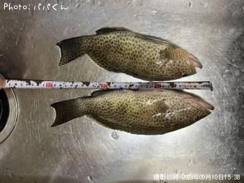 ¥ª¥ª¥â¥ó¥Ï¥¿