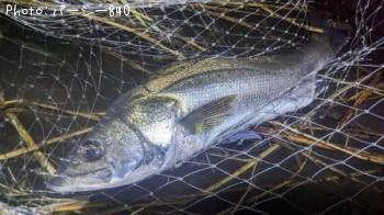 �����Х�