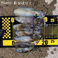 �����ꥤ��