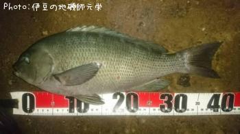 �����᥸��