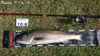 �����Х�