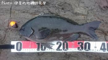 �����᥸��