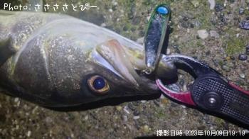 �����Х�