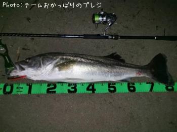 �����Х�