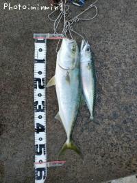 ¥¤¥Ê¥À¤È¥µ¥Ð