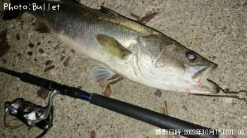 �����Х�