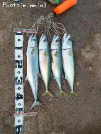 ���Фȥ�����