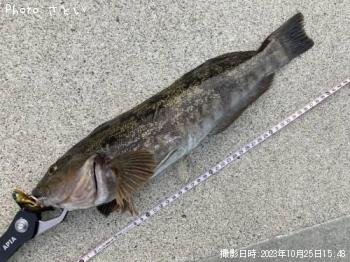 �����ʥ�