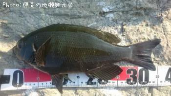 �����᥸��