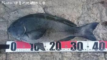 �����᥸��