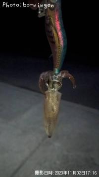 �ҥ���