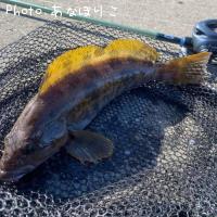 �����ʥ�