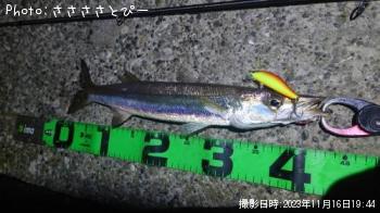 ���ޥ���������Х�