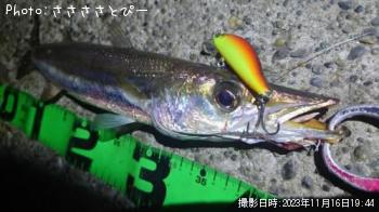 ���ޥ���������Х�